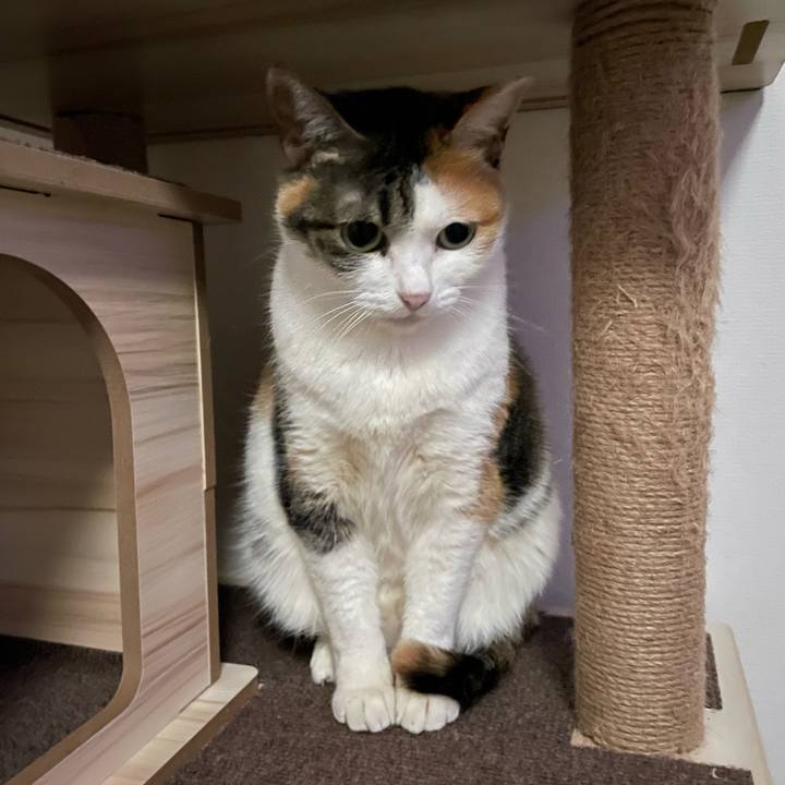 A1f68f41 57fc 478a a538 bb38fc2ffc20 1675692916460