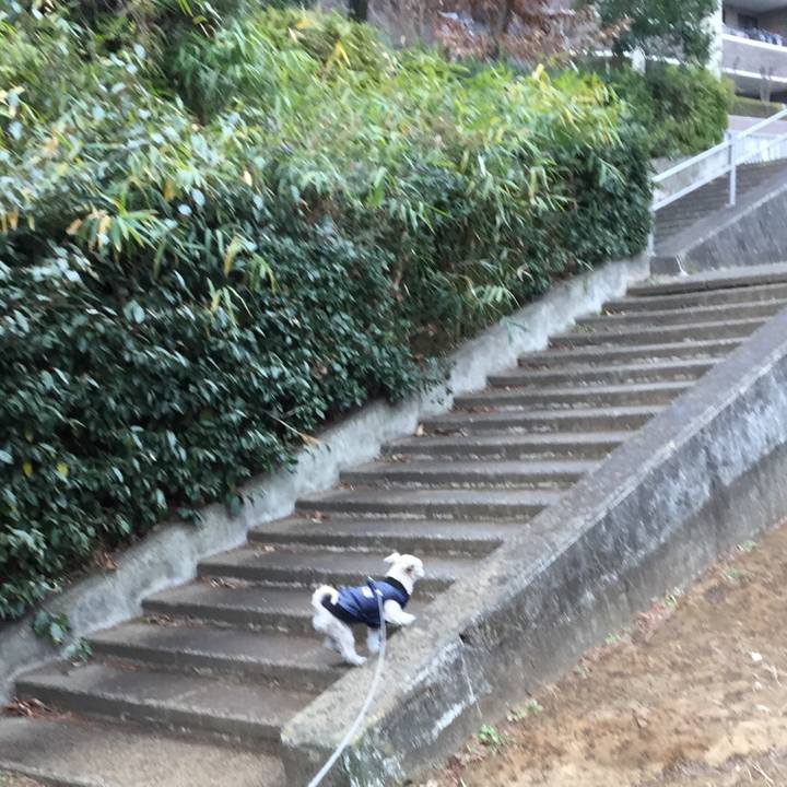 A1f69e93 1889 4890 822d 26dc4a949d4d 1547289944403