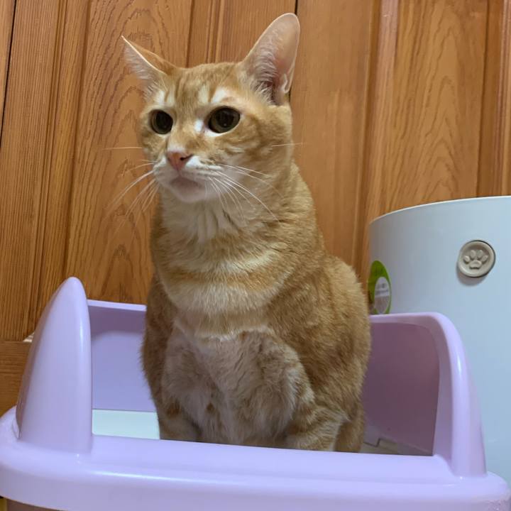 A1f6fdaa c345 42a0 b41c 84e14ce36d8d 1578482464396