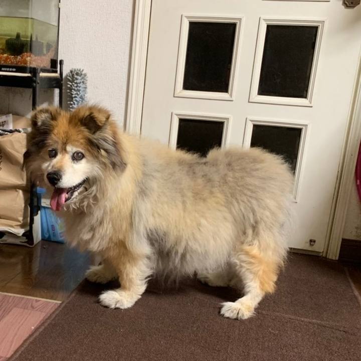 A1f7032a 7605 4660 95d5 e0c50fbad6ed 1566496334483