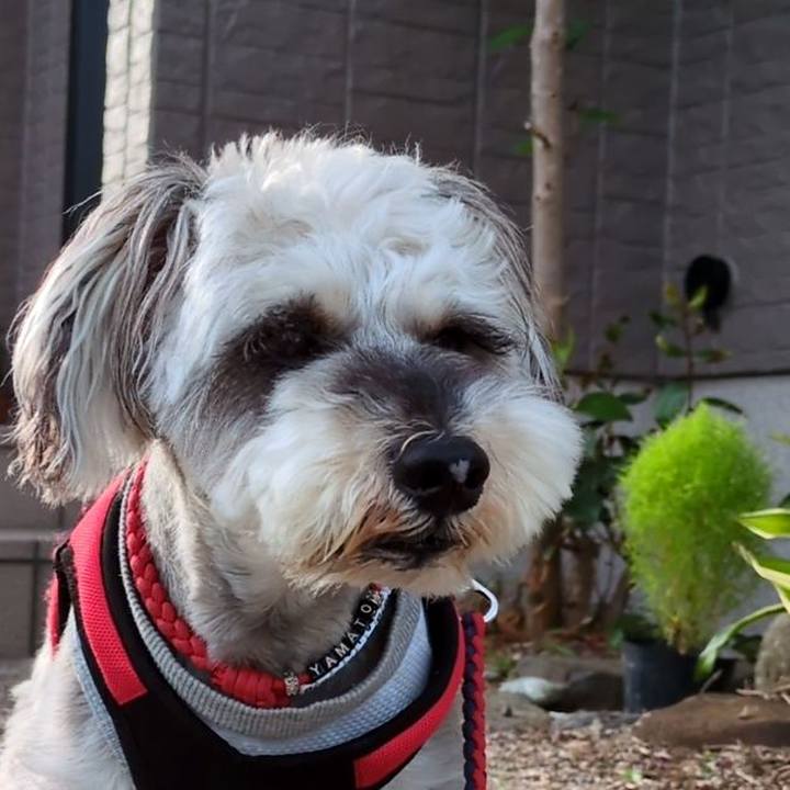 A1f71606 2d08 4072 87f2 b115c4fc6838 1752973832929