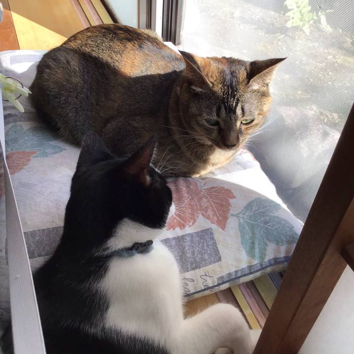 A1f72cb3 37f3 4d98 aaaf 5010231cc3f5 1634272304275