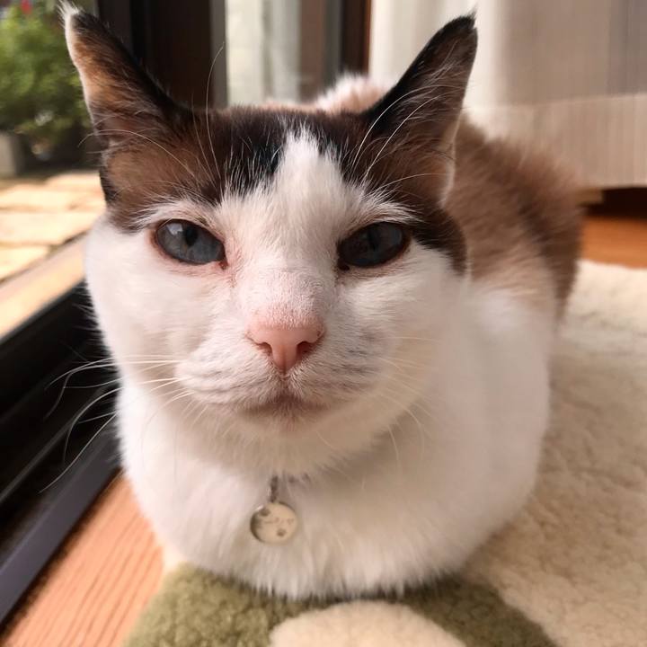 A1f746f2 f810 4042 aa06 b2b7884ae022 1622252872137