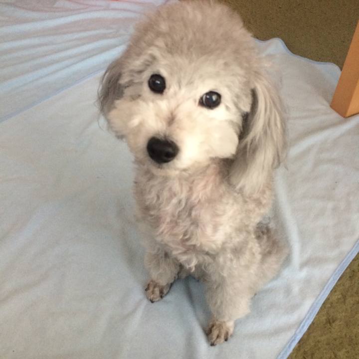 A1f748ef 58cb 4436 9d37 0357e34ac0c8 1516230360539