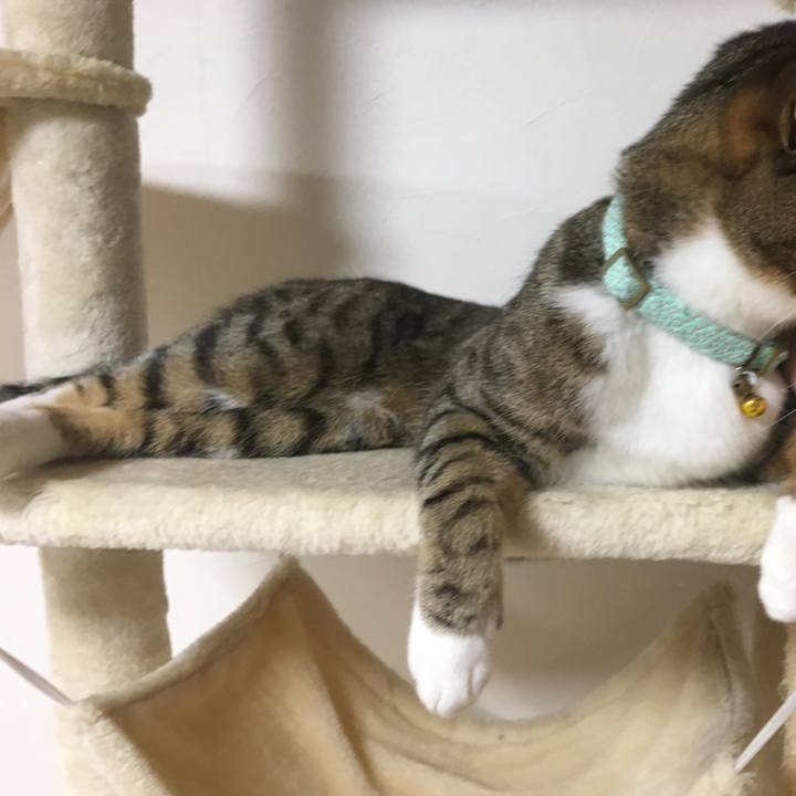 A1f7ab35 ed08 4f2d 8ebb cc356389ead3 1696312557909