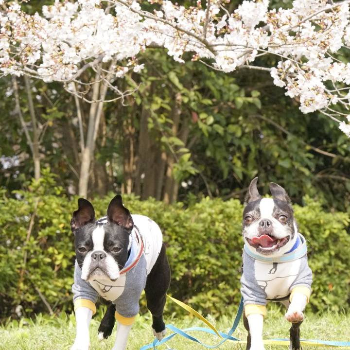 A1f7ae59 93a5 407b 95d4 a3fb07c8ee81 1521977312109