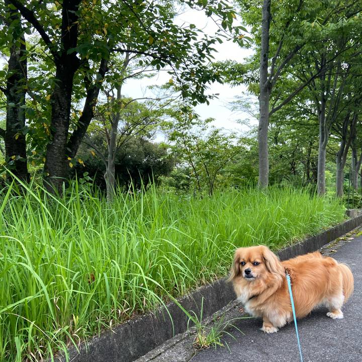 A1f8029a 013c 44b3 bf6a e9bfcc341b75 1596059316995