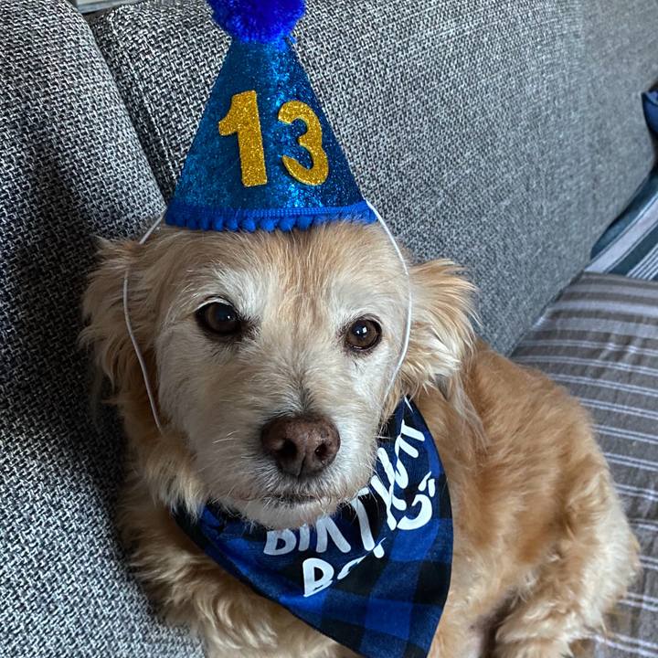 A1f82869 f17d 4d71 94e2 fddeb4b9f3cf 1774419690902