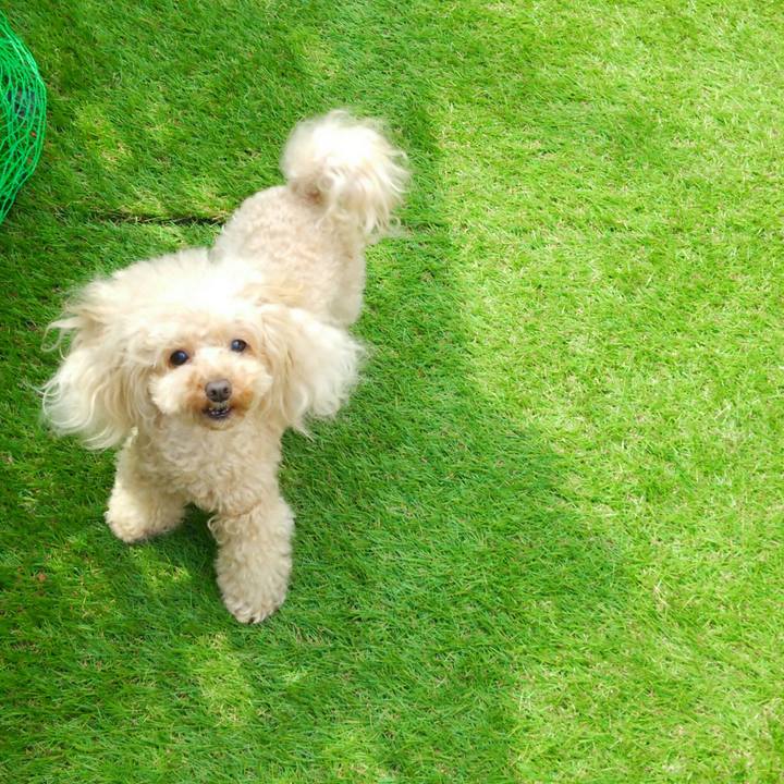 A1f834d5 85ca 4ac1 a2ac 3edeb5279f45 1552728117278