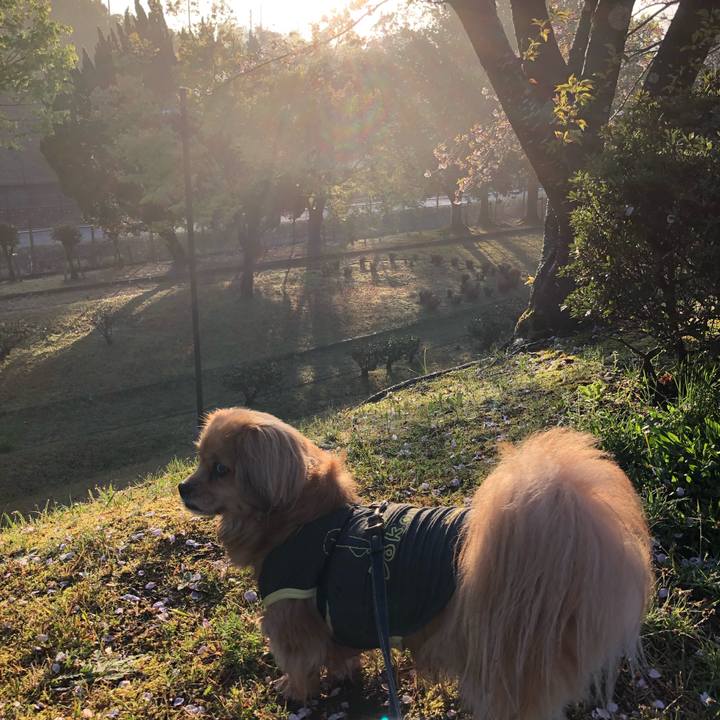 A1f85f1c 8e31 4703 b0a4 2ce9015f4be2 1555537223648