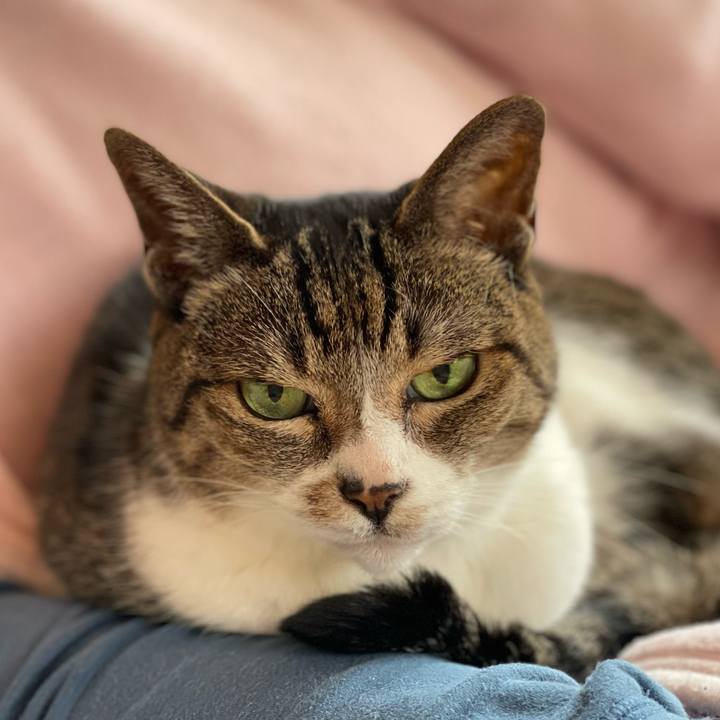 A1f86a37 b760 469c 8261 661013386f73 1651110154513