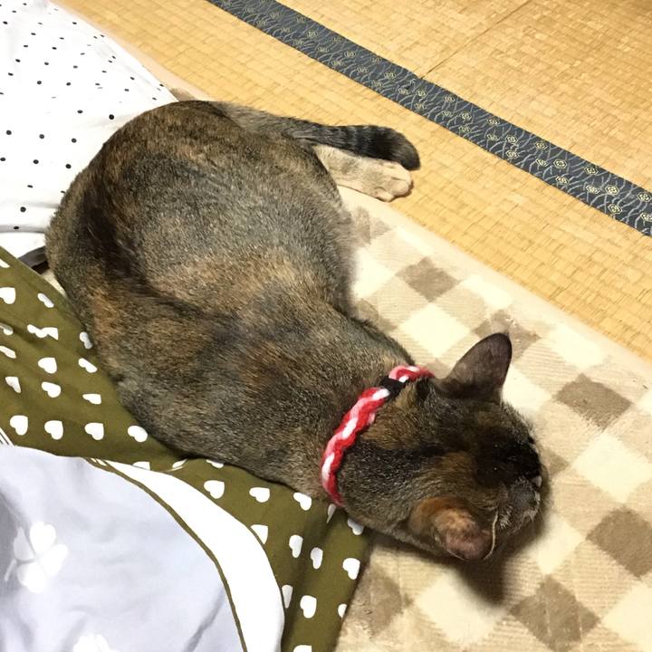 A1f8d63b d5d4 4a36 b82f af630e601c84 1606445657050