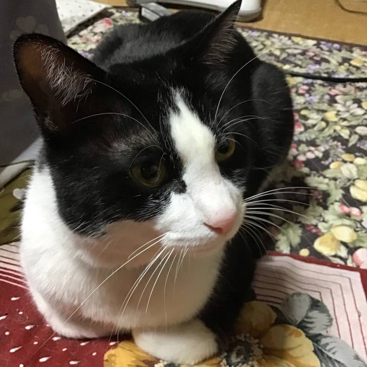 A1f8dc0f fbf8 47f7 9e81 24464a72fca3 1679660121943