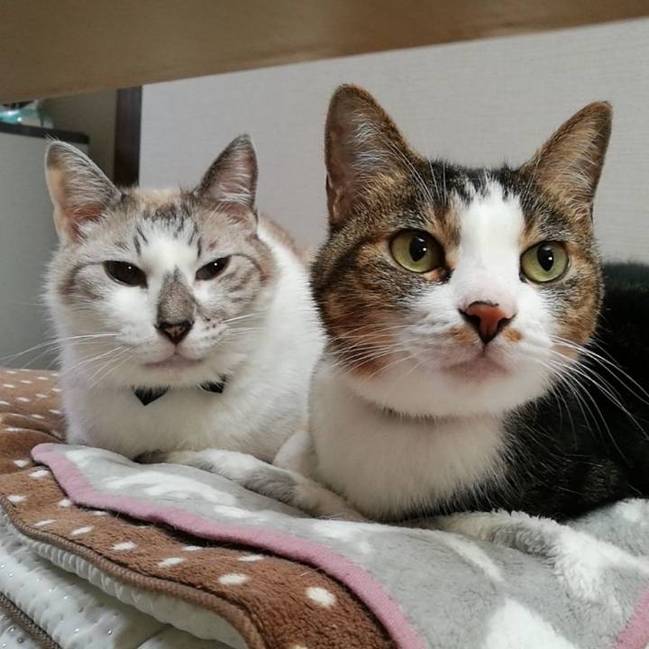 A1f90312 6eea 4b0a 8b91 e96b7659a500 1538270785395