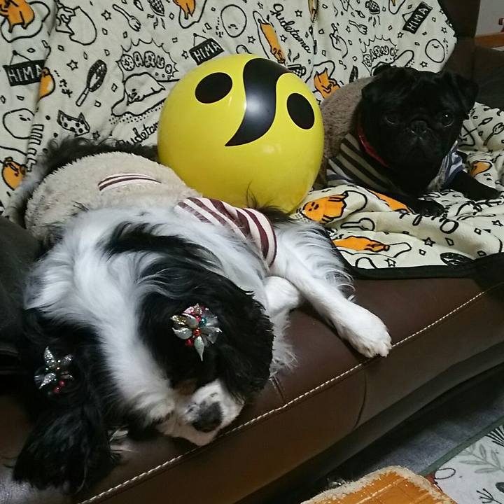 A1f90b62 cd4c 4a19 b682 2ef890e0cfb7 1545832754471