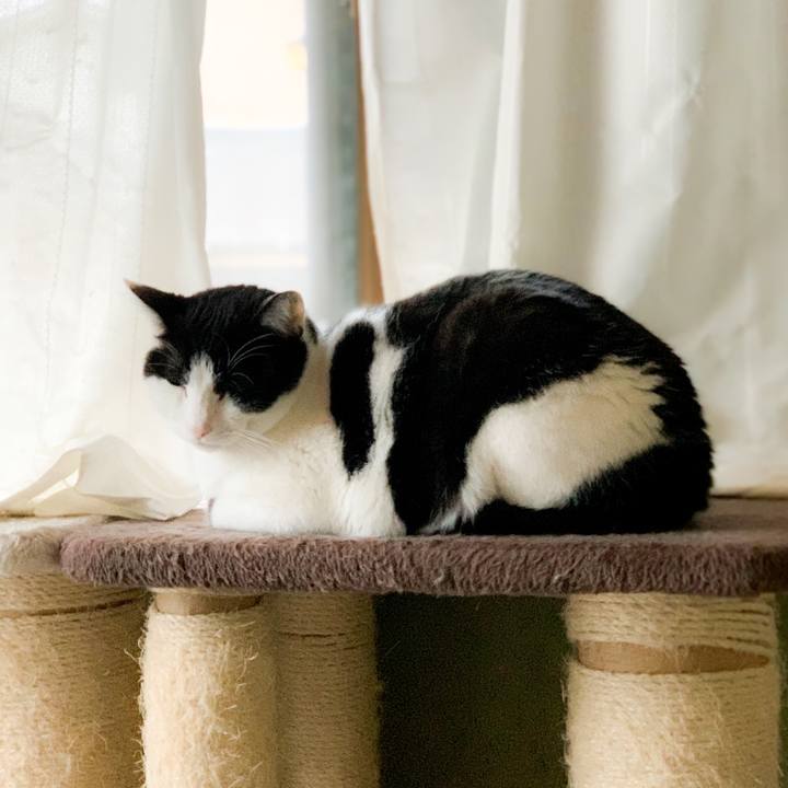 A1f9526b afff 4ca4 bb70 bdbe62bcd2f7 1583461082785