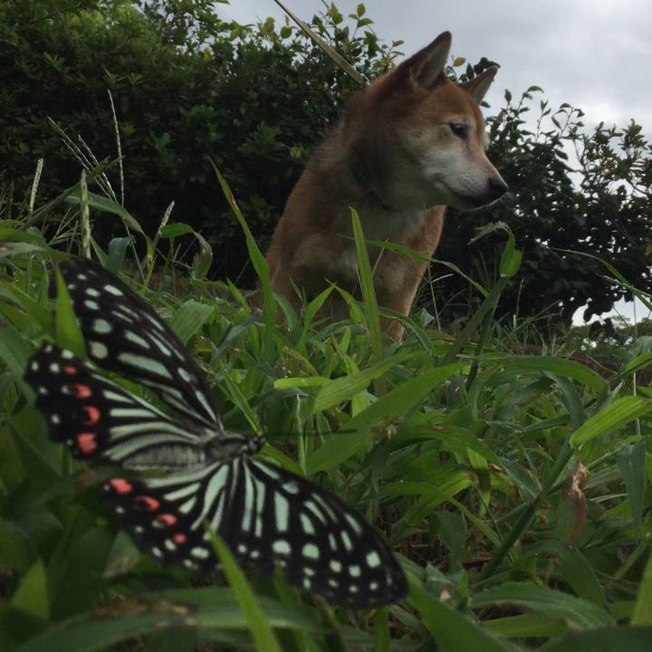 A1f9593d 4dda 4e49 ad61 83afa427ac9b 1631620121514