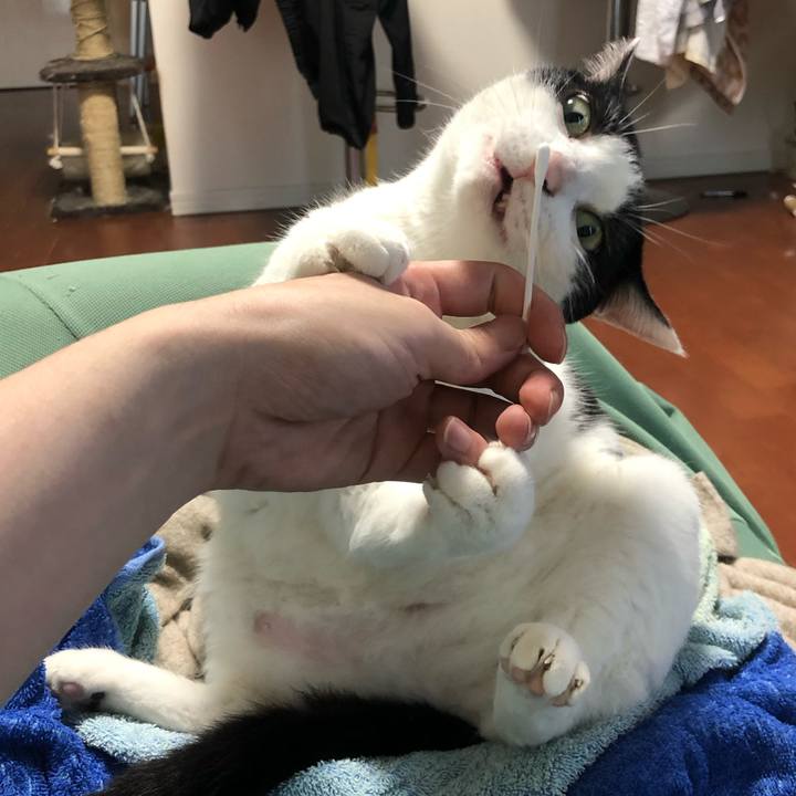 A1f99cc0 2cd4 4e17 9000 1637a3fc0916 1589298615959