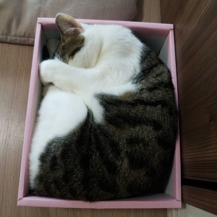 A1f9d6bb 599c 4dad 8803 01af74c9b4af 1596353470914