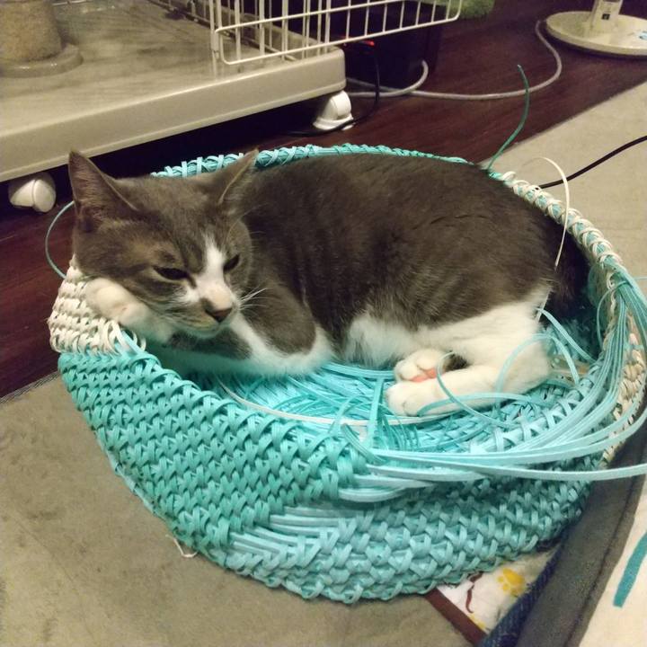 A1fa2749 a948 4493 8fde a9a6ce1458e4 1621077259488