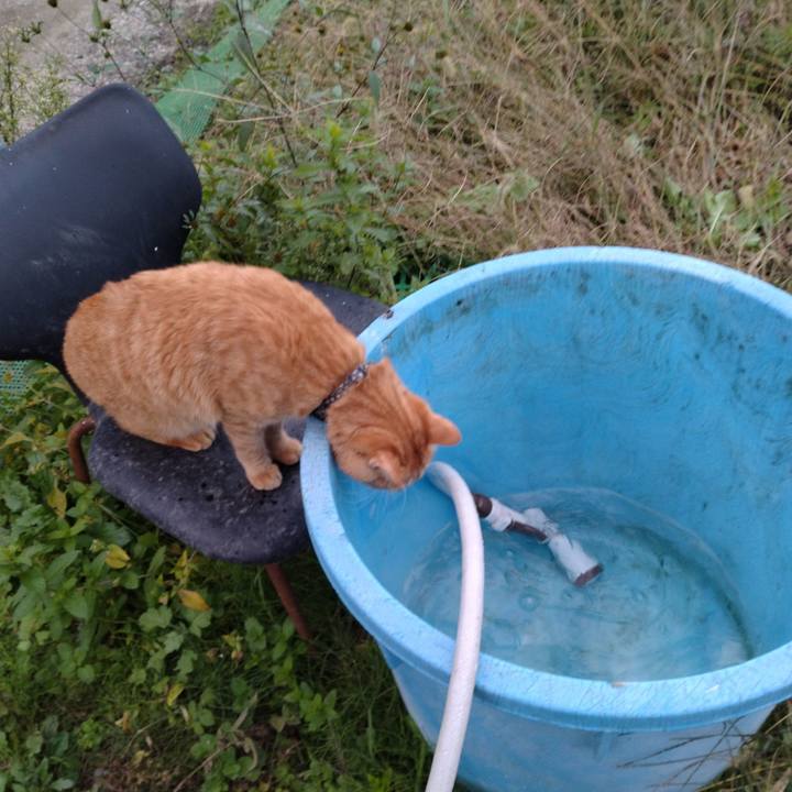 A1fa5379 a73e 45d2 87da f2818d2cd3db 1666080732462