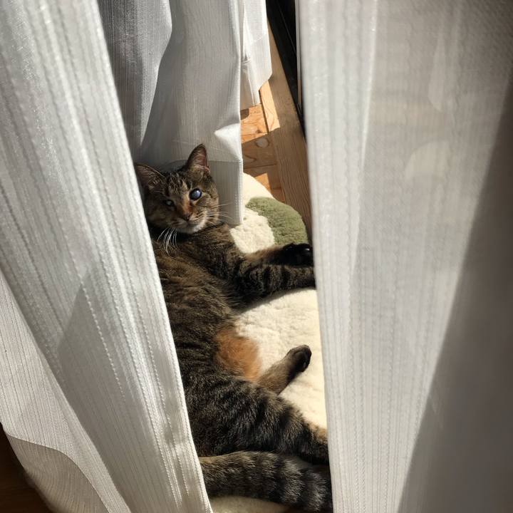 A1fa8d28 891d 4bed ae3a 0cfdfba8cd1f 1611129872451