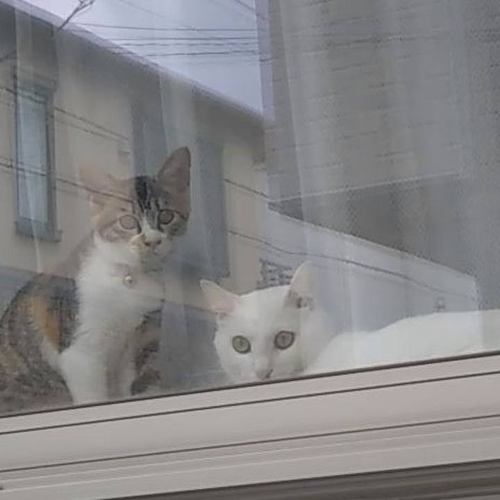 A1fa8df2 4bf3 410c b2c1 916e1df88cf8 1629613543868