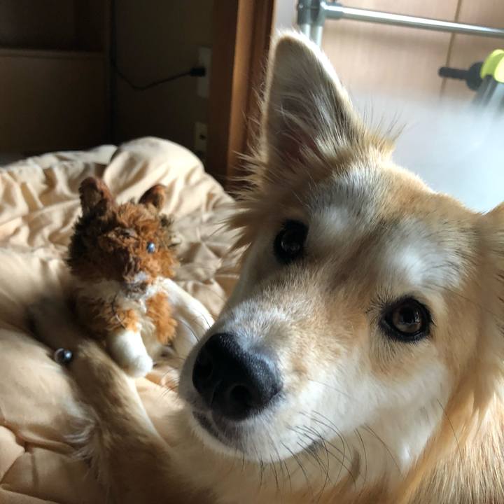 A1fab171 7393 43fc a307 d8f54907011e 1528263267527