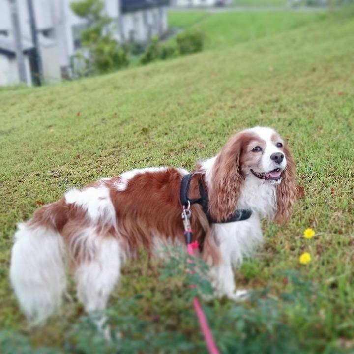 A1fb02a5 ef31 44fe 9bc8 be6b7f8d3fab 1562661106080