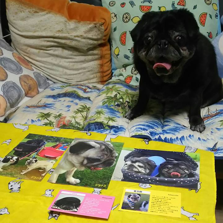 A1fb38ee 776c 45f4 af75 181656e256e9 1529062960867