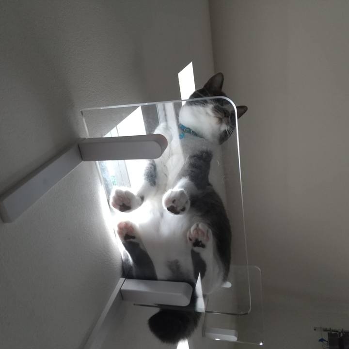 A1fb3ab3 e06a 42fe b39b e31524ed00c8 1630908120856