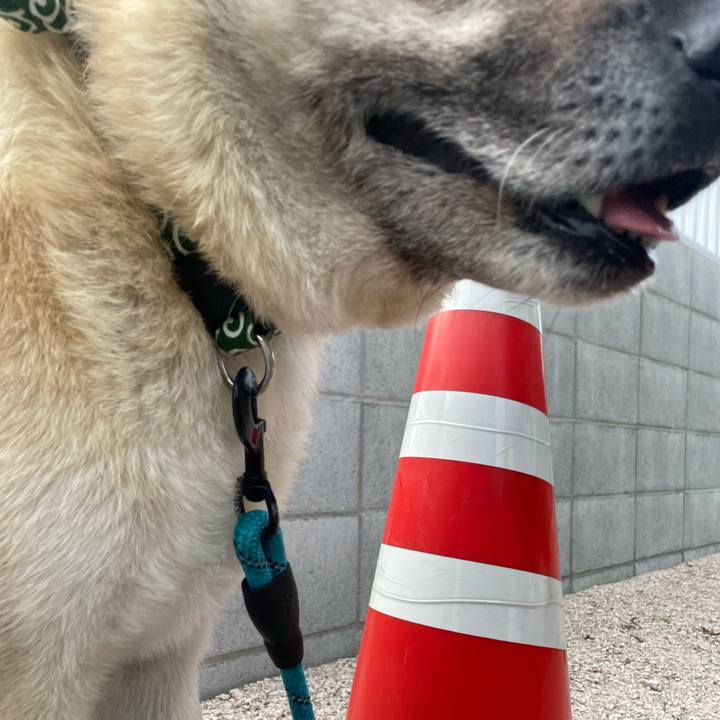 A1fb7f2f 8ef7 448e a53d d1350be6be3e 1685098712269