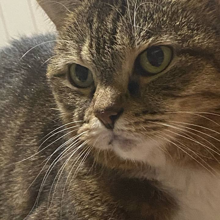 A1fb8476 84e3 4493 a16c 7ee1434bcd25 1728656547323