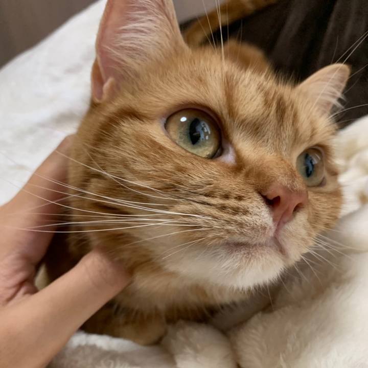 A1fb8f59 31d3 4d56 b1c4 bf80065764d3 1558238762404