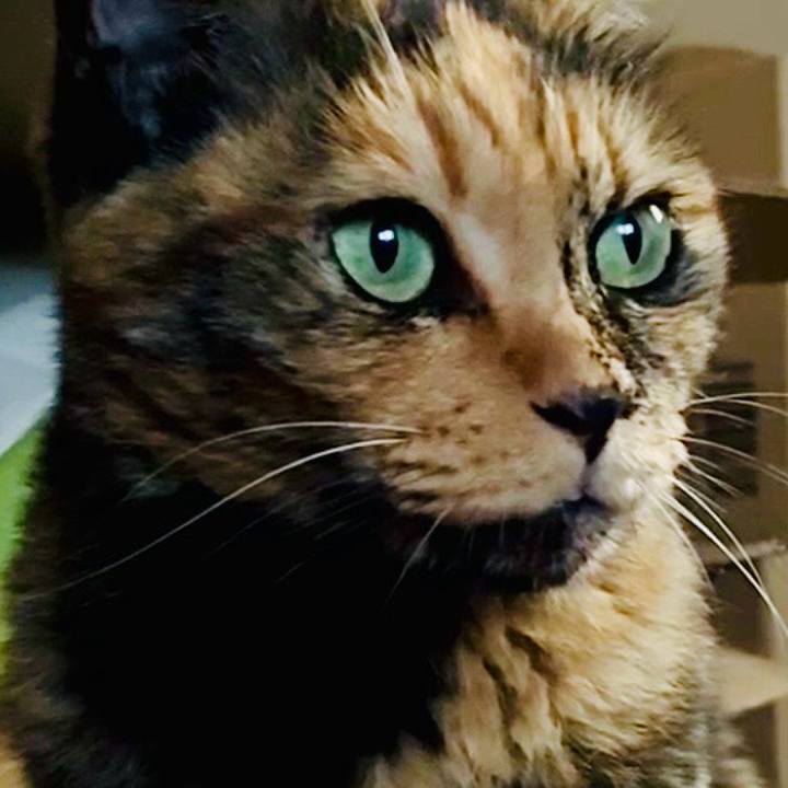 A1fb916a 1ab3 4c73 ba1e d38c295e4d50 1755251589302