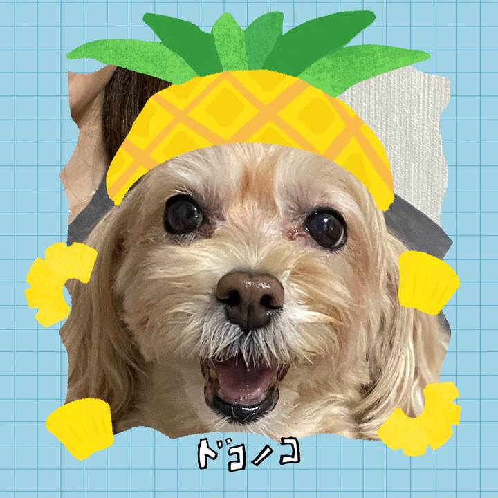 A1fc4f13 c86b 458c a5f0 c9143b22e02c 1783474982131