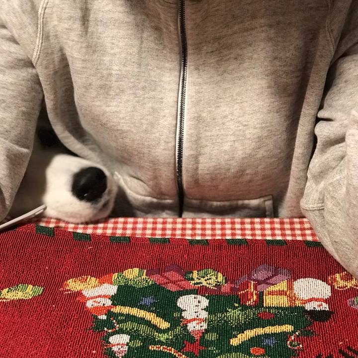 A1fc5c9b a436 4d48 ac26 6b50bebaa272 1642931702782