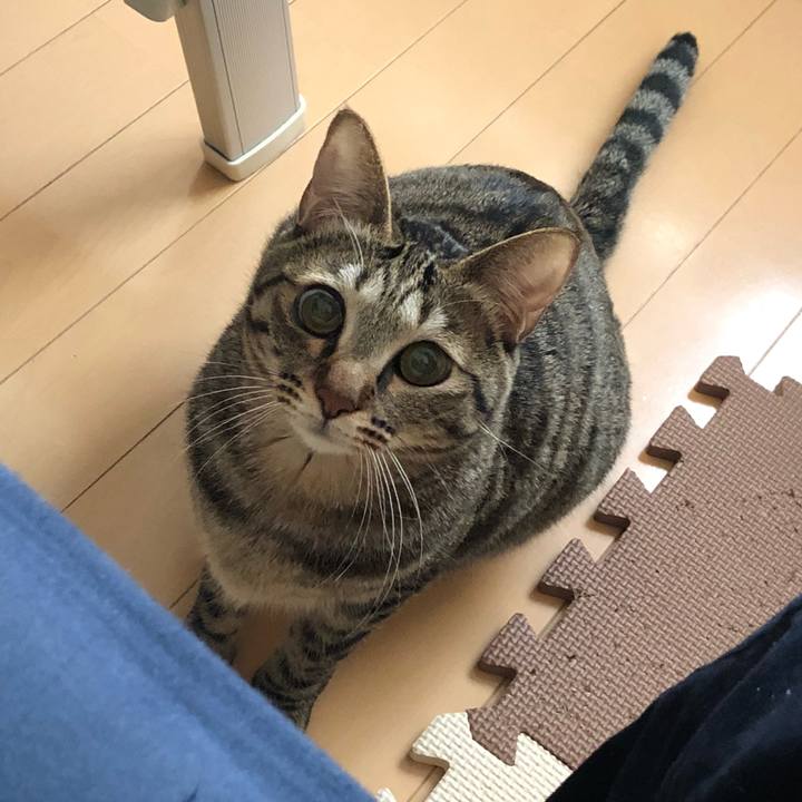 A1fc71b3 99a6 4fb9 84e8 9b3fd527a44a 1515050166818