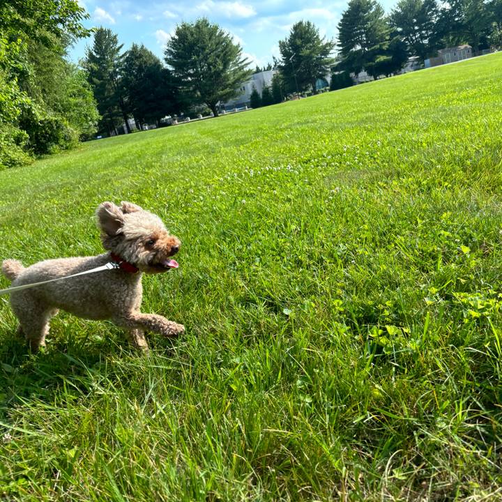 A1fc86c1 ae9a 421b b675 37bc2461c80b 1718373573928