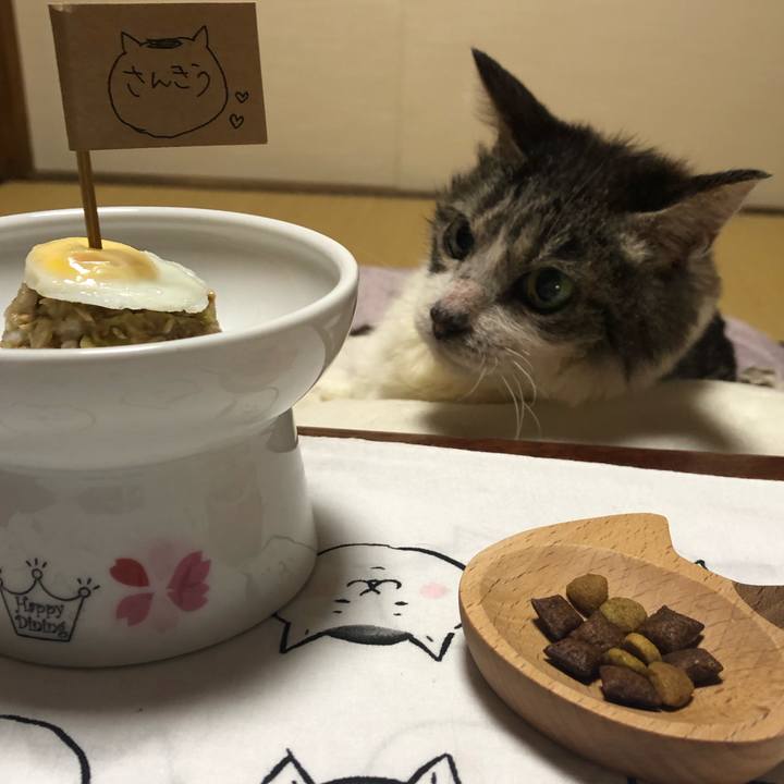 A1fc902c d3bd 4e68 b619 4b18533081b3 1550802755032