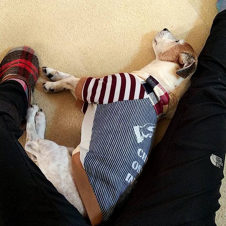 A1fc962b 1450 4d55 b00e 6413b037ead6 1581923807072