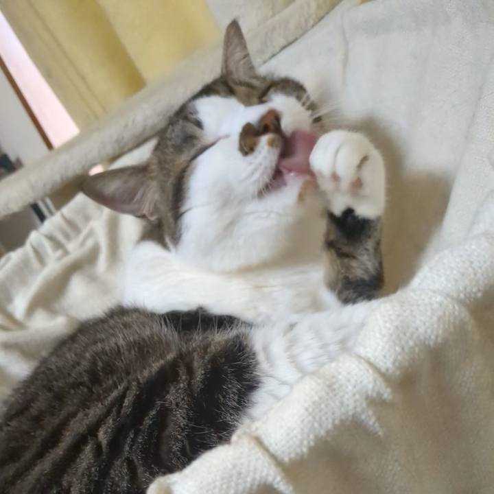 A1fc9922 bb9d 4559 ae48 d8a6b1727b3d 1727675552416