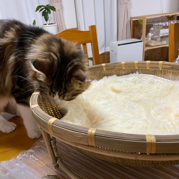 A1fce131 4820 4d6f a10b bc833e764717 1658489736110