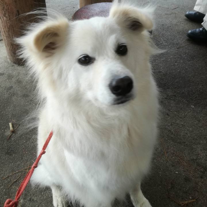 A1fcfcda 80a9 4139 93d7 d8314bcf254e 1521688824405