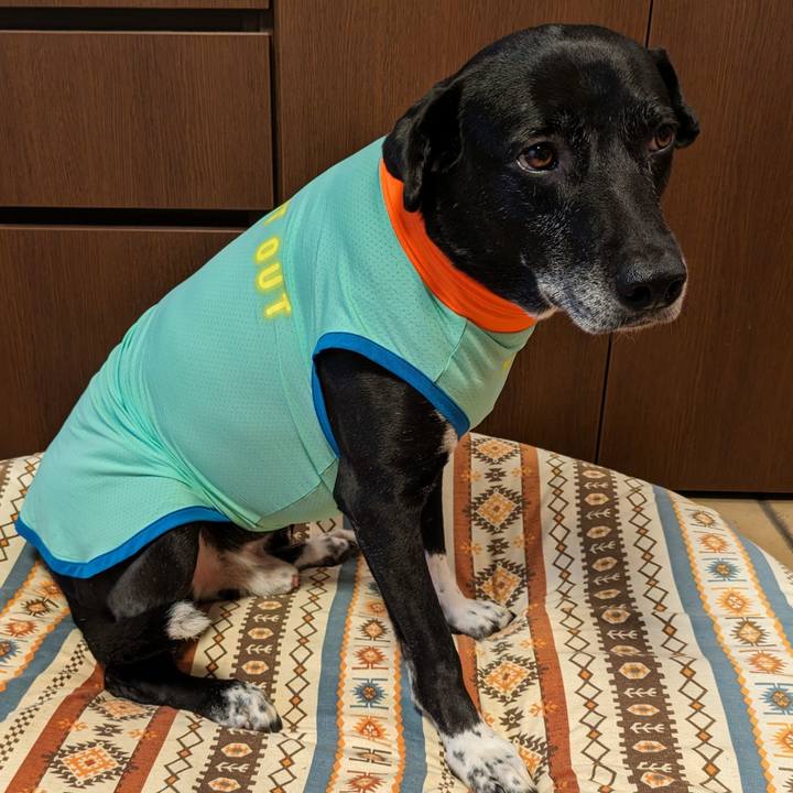 A1fd03bf b48f 44d7 9fea 14f4bc532abc 1716721439334