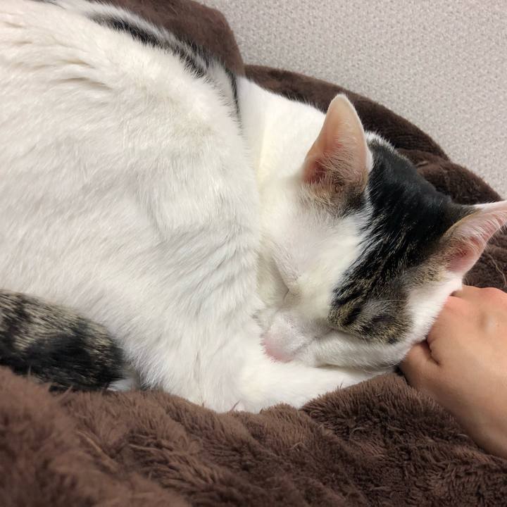 A1fd0d0a 0ff8 4b92 90ed 01ae6ed804ad 1552644601114