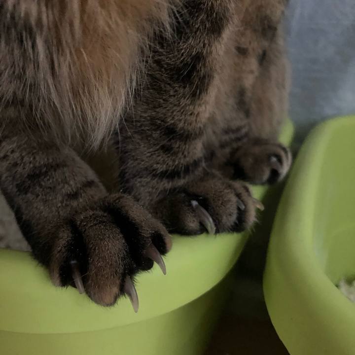 A1fd2bd7 b733 4d2c 8c7f 65631f02de1c 1556225583670