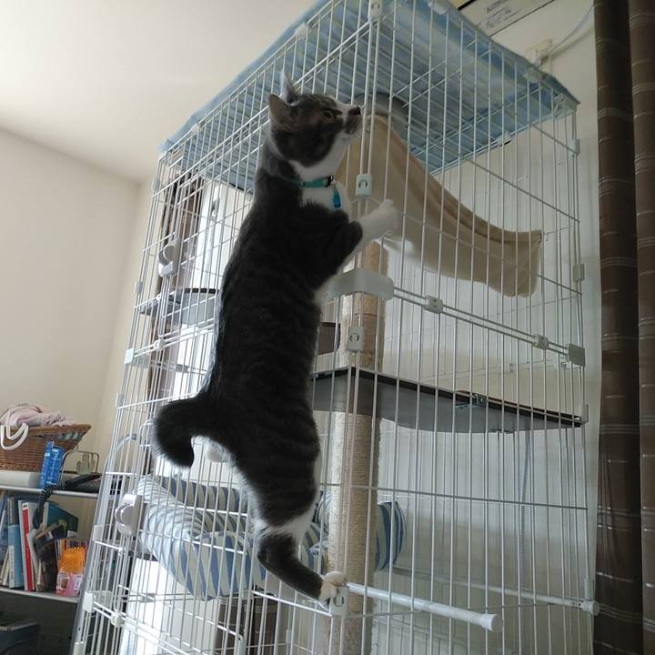 A1fd6575 69c2 4004 bb87 f020d9d4b3b7 1586559878959