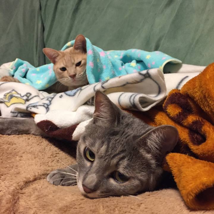 A1fd86ad 53d6 4b63 85ba fb9fc705c857 1573301337431