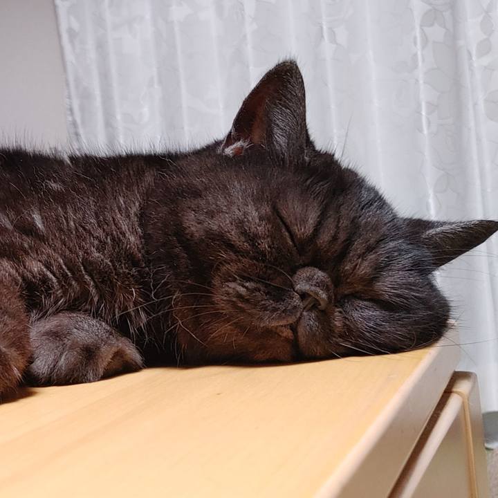 A1fdc324 ac4c 4ed5 9900 d3803adaba08 1663846281284